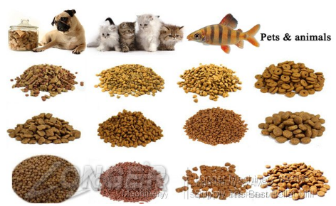Don't Feed Dog Food to a Cat Don't Feed Dog Food to a Cat