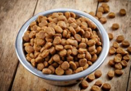 Selection criteria of cats food Selection criteria of cats food