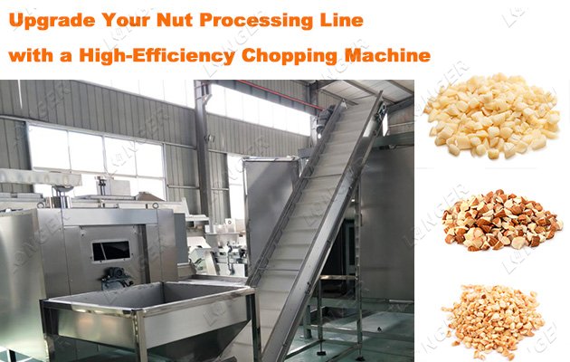 Upgrade Your Nut Processing Line with a High-Efficiency Chopping Machine
