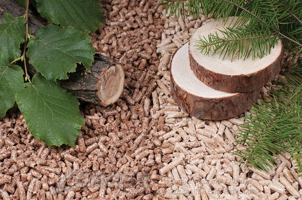 Wood Pellet Mill|Straw Dust Mill LG-560