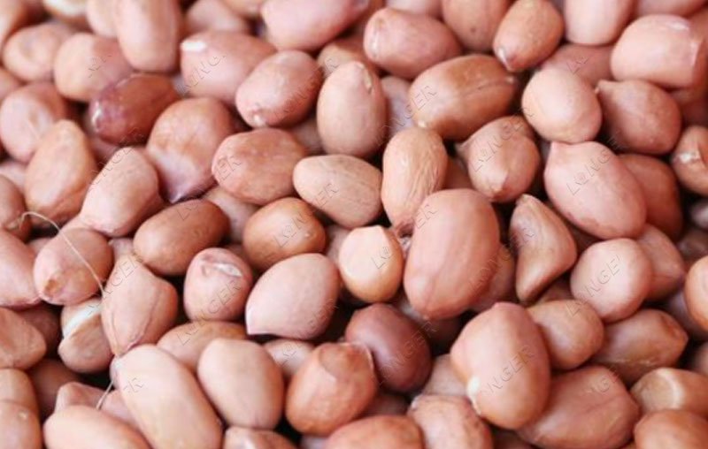 Peanut Sheller Machine Supplier