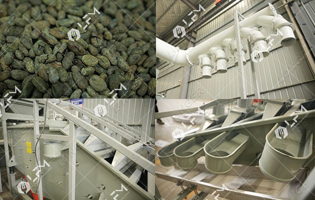 cocoa bean husk remover machine